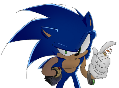 SONIC SWAG 1