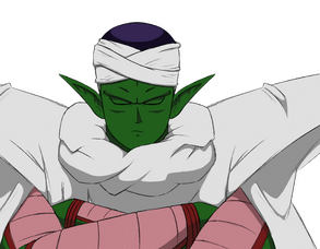 PICCOLO PICCOLO